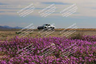 media/Jan-08-2023-SCCA SD (Sun) [[8f6a5b9391]]/Intermediate Group/Session 2 (Short Straight)/